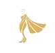 saree icon 6